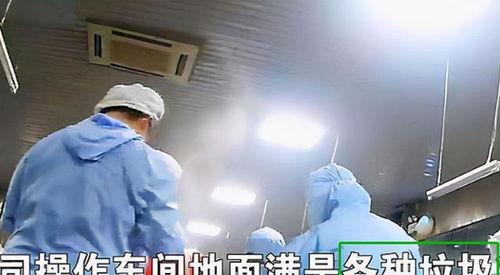 天津小学生配餐爆料视频,揭露校园食品安全疑云 第3张 天津小学生配餐爆料视频,揭露校园食品安全疑云 第3张